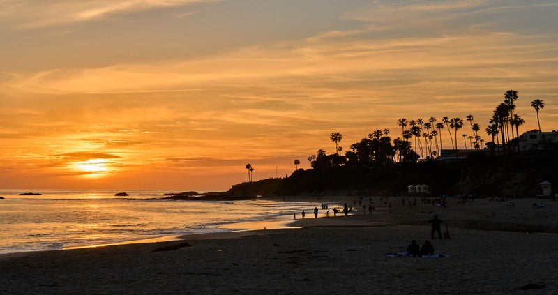 Road Trip Essentials: The Ultimate Guide to Hydration & Gear