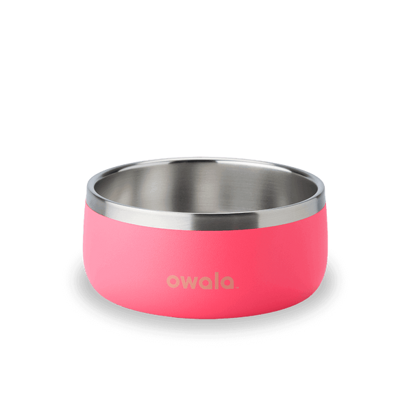 3 cups / Hyper Flamingo