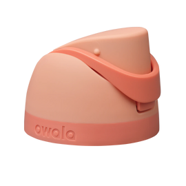 Replacement Lids