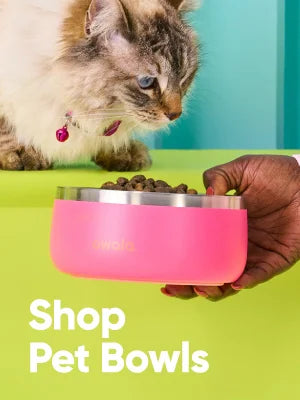 A cat being fed from an Owala Pet Bowl. Shop Pet Bowls